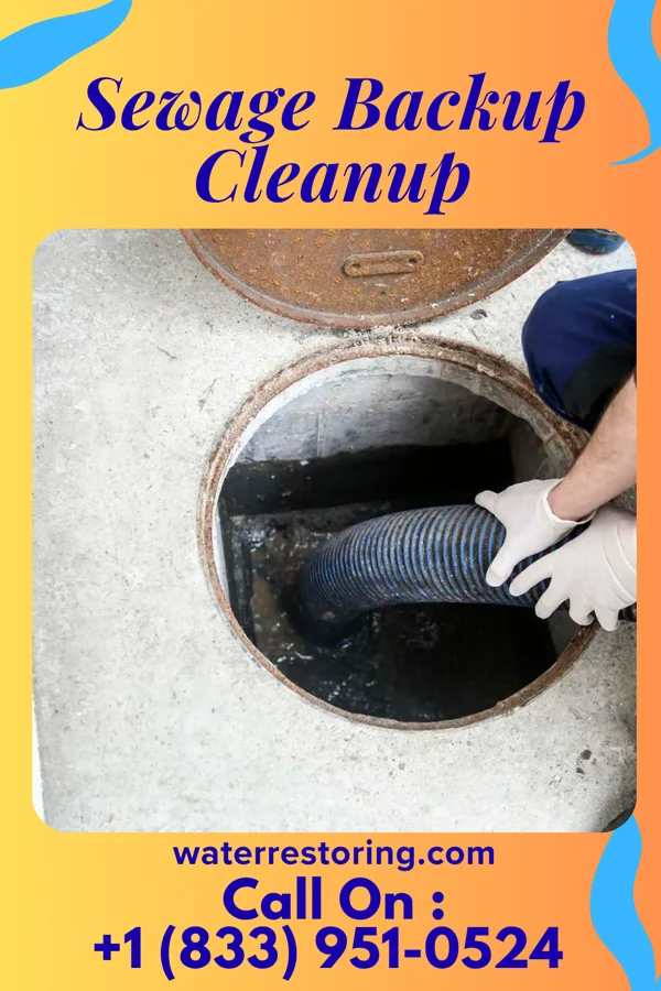 Sewage Backup Cleanup in Lakeshore Gardens-Hidden Acres, TX
