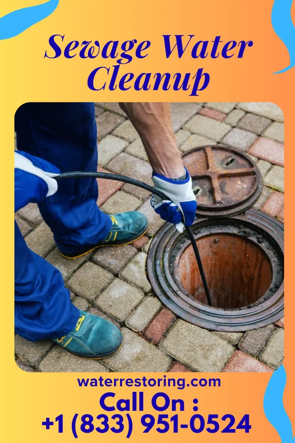 Sewage Water Cleanup in Lakeshore Gardens-Hidden Acres, TX